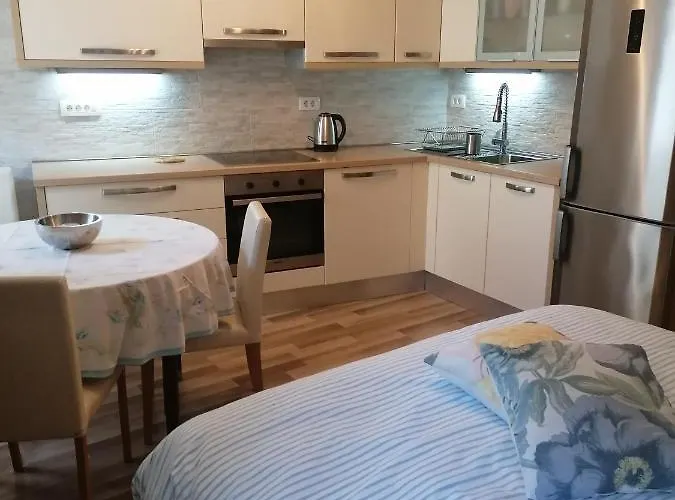 Apartma Olivieri * コペル